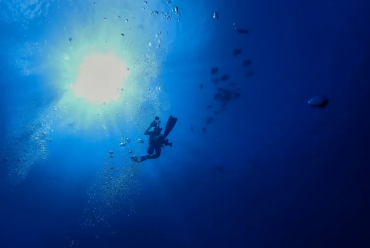 深い青い海でダイビング